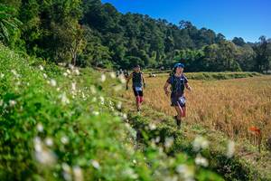 BIB: 
                            <button type="button" onclick="openModal(26571277)" class="btn btn-primary btn-sm float-right btn-popup" data-toggle="modal" data-target=".modal-high-quality">
                        <i class="fas fa-shopping-cart"></i> Add to Cart
                    </button>
                                            <button type="button" onclick="isThisMe(26571277, true)" class="btn btn-success btn-sm float-right btn-popup btn-isme hidden" data-toggle="tooltip" data-placement="bottom" title="นี่คือรูปของคุณใช่ไหม คลิกที่นี่เพื่อเอาเข้าอัลบั้ม">
                        <i class="fas fa-plus"></i> Add to album
                    </button>
                    <button type="button" onclick="isThisMe(26571277, false)" class="btn btn-warning btn-sm float-right btn-popup btn-isnotme hidden">
                        <i class="fas fa-ban"></i> Remove from album
                    </button>