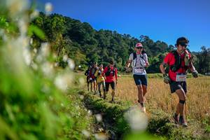 BIB: 
                            <button type="button" onclick="openModal(26573055)" class="btn btn-primary btn-sm float-right btn-popup" data-toggle="modal" data-target=".modal-high-quality">
                        <i class="fas fa-shopping-cart"></i> Add to Cart
                    </button>
                                            <button type="button" onclick="isThisMe(26573055, true)" class="btn btn-success btn-sm float-right btn-popup btn-isme hidden" data-toggle="tooltip" data-placement="bottom" title="นี่คือรูปของคุณใช่ไหม คลิกที่นี่เพื่อเอาเข้าอัลบั้ม">
                        <i class="fas fa-plus"></i> Add to album
                    </button>
                    <button type="button" onclick="isThisMe(26573055, false)" class="btn btn-warning btn-sm float-right btn-popup btn-isnotme hidden">
                        <i class="fas fa-ban"></i> Remove from album
                    </button>