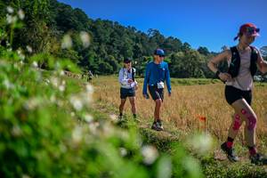 BIB: 
                            <button type="button" onclick="openModal(26581490)" class="btn btn-primary btn-sm float-right btn-popup" data-toggle="modal" data-target=".modal-high-quality">
                        <i class="fas fa-shopping-cart"></i> Add to Cart
                    </button>
                                            <button type="button" onclick="isThisMe(26581490, true)" class="btn btn-success btn-sm float-right btn-popup btn-isme hidden" data-toggle="tooltip" data-placement="bottom" title="นี่คือรูปของคุณใช่ไหม คลิกที่นี่เพื่อเอาเข้าอัลบั้ม">
                        <i class="fas fa-plus"></i> Add to album
                    </button>
                    <button type="button" onclick="isThisMe(26581490, false)" class="btn btn-warning btn-sm float-right btn-popup btn-isnotme hidden">
                        <i class="fas fa-ban"></i> Remove from album
                    </button>