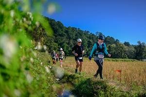 BIB: 
                            <button type="button" onclick="openModal(26580398)" class="btn btn-primary btn-sm float-right btn-popup" data-toggle="modal" data-target=".modal-high-quality">
                        <i class="fas fa-shopping-cart"></i> Add to Cart
                    </button>
                                            <button type="button" onclick="isThisMe(26580398, true)" class="btn btn-success btn-sm float-right btn-popup btn-isme hidden" data-toggle="tooltip" data-placement="bottom" title="นี่คือรูปของคุณใช่ไหม คลิกที่นี่เพื่อเอาเข้าอัลบั้ม">
                        <i class="fas fa-plus"></i> Add to album
                    </button>
                    <button type="button" onclick="isThisMe(26580398, false)" class="btn btn-warning btn-sm float-right btn-popup btn-isnotme hidden">
                        <i class="fas fa-ban"></i> Remove from album
                    </button>