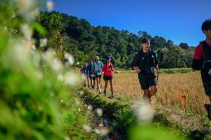 BIB: 
                            <button type="button" onclick="openModal(26574634)" class="btn btn-primary btn-sm float-right btn-popup" data-toggle="modal" data-target=".modal-high-quality">
                        <i class="fas fa-shopping-cart"></i> Add to Cart
                    </button>
                                            <button type="button" onclick="isThisMe(26574634, true)" class="btn btn-success btn-sm float-right btn-popup btn-isme hidden" data-toggle="tooltip" data-placement="bottom" title="นี่คือรูปของคุณใช่ไหม คลิกที่นี่เพื่อเอาเข้าอัลบั้ม">
                        <i class="fas fa-plus"></i> Add to album
                    </button>
                    <button type="button" onclick="isThisMe(26574634, false)" class="btn btn-warning btn-sm float-right btn-popup btn-isnotme hidden">
                        <i class="fas fa-ban"></i> Remove from album
                    </button>