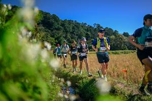 BIB: 
                            <button type="button" onclick="openModal(26575154)" class="btn btn-primary btn-sm float-right btn-popup" data-toggle="modal" data-target=".modal-high-quality">
                        <i class="fas fa-shopping-cart"></i> Add to Cart
                    </button>
                                            <button type="button" onclick="isThisMe(26575154, true)" class="btn btn-success btn-sm float-right btn-popup btn-isme hidden" data-toggle="tooltip" data-placement="bottom" title="นี่คือรูปของคุณใช่ไหม คลิกที่นี่เพื่อเอาเข้าอัลบั้ม">
                        <i class="fas fa-plus"></i> Add to album
                    </button>
                    <button type="button" onclick="isThisMe(26575154, false)" class="btn btn-warning btn-sm float-right btn-popup btn-isnotme hidden">
                        <i class="fas fa-ban"></i> Remove from album
                    </button>