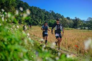 BIB: 
                            <button type="button" onclick="openModal(26579535)" class="btn btn-primary btn-sm float-right btn-popup" data-toggle="modal" data-target=".modal-high-quality">
                        <i class="fas fa-shopping-cart"></i> Add to Cart
                    </button>
                                            <button type="button" onclick="isThisMe(26579535, true)" class="btn btn-success btn-sm float-right btn-popup btn-isme hidden" data-toggle="tooltip" data-placement="bottom" title="นี่คือรูปของคุณใช่ไหม คลิกที่นี่เพื่อเอาเข้าอัลบั้ม">
                        <i class="fas fa-plus"></i> Add to album
                    </button>
                    <button type="button" onclick="isThisMe(26579535, false)" class="btn btn-warning btn-sm float-right btn-popup btn-isnotme hidden">
                        <i class="fas fa-ban"></i> Remove from album
                    </button>