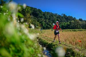 BIB: 
                            <button type="button" onclick="openModal(26573683)" class="btn btn-primary btn-sm float-right btn-popup" data-toggle="modal" data-target=".modal-high-quality">
                        <i class="fas fa-shopping-cart"></i> Add to Cart
                    </button>
                                            <button type="button" onclick="isThisMe(26573683, true)" class="btn btn-success btn-sm float-right btn-popup btn-isme hidden" data-toggle="tooltip" data-placement="bottom" title="นี่คือรูปของคุณใช่ไหม คลิกที่นี่เพื่อเอาเข้าอัลบั้ม">
                        <i class="fas fa-plus"></i> Add to album
                    </button>
                    <button type="button" onclick="isThisMe(26573683, false)" class="btn btn-warning btn-sm float-right btn-popup btn-isnotme hidden">
                        <i class="fas fa-ban"></i> Remove from album
                    </button>