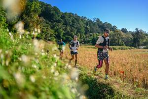 BIB: 
                            <button type="button" onclick="openModal(26570868)" class="btn btn-primary btn-sm float-right btn-popup" data-toggle="modal" data-target=".modal-high-quality">
                        <i class="fas fa-shopping-cart"></i> Add to Cart
                    </button>
                                            <button type="button" onclick="isThisMe(26570868, true)" class="btn btn-success btn-sm float-right btn-popup btn-isme hidden" data-toggle="tooltip" data-placement="bottom" title="นี่คือรูปของคุณใช่ไหม คลิกที่นี่เพื่อเอาเข้าอัลบั้ม">
                        <i class="fas fa-plus"></i> Add to album
                    </button>
                    <button type="button" onclick="isThisMe(26570868, false)" class="btn btn-warning btn-sm float-right btn-popup btn-isnotme hidden">
                        <i class="fas fa-ban"></i> Remove from album
                    </button>