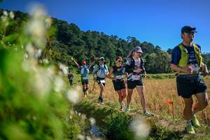 BIB: 
                            <button type="button" onclick="openModal(26575166)" class="btn btn-primary btn-sm float-right btn-popup" data-toggle="modal" data-target=".modal-high-quality">
                        <i class="fas fa-shopping-cart"></i> Add to Cart
                    </button>
                                            <button type="button" onclick="isThisMe(26575166, true)" class="btn btn-success btn-sm float-right btn-popup btn-isme hidden" data-toggle="tooltip" data-placement="bottom" title="นี่คือรูปของคุณใช่ไหม คลิกที่นี่เพื่อเอาเข้าอัลบั้ม">
                        <i class="fas fa-plus"></i> Add to album
                    </button>
                    <button type="button" onclick="isThisMe(26575166, false)" class="btn btn-warning btn-sm float-right btn-popup btn-isnotme hidden">
                        <i class="fas fa-ban"></i> Remove from album
                    </button>