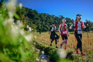 BIB: 
                            <button type="button" onclick="openModal(26573568)" class="btn btn-primary btn-sm float-right btn-popup" data-toggle="modal" data-target=".modal-high-quality">
                        <i class="fas fa-shopping-cart"></i> Add to Cart
                    </button>
                                            <button type="button" onclick="isThisMe(26573568, true)" class="btn btn-success btn-sm float-right btn-popup btn-isme hidden" data-toggle="tooltip" data-placement="bottom" title="นี่คือรูปของคุณใช่ไหม คลิกที่นี่เพื่อเอาเข้าอัลบั้ม">
                        <i class="fas fa-plus"></i> Add to album
                    </button>
                    <button type="button" onclick="isThisMe(26573568, false)" class="btn btn-warning btn-sm float-right btn-popup btn-isnotme hidden">
                        <i class="fas fa-ban"></i> Remove from album
                    </button>