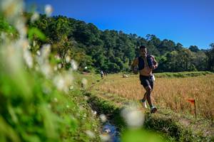 BIB: 
                            <button type="button" onclick="openModal(26573621)" class="btn btn-primary btn-sm float-right btn-popup" data-toggle="modal" data-target=".modal-high-quality">
                        <i class="fas fa-shopping-cart"></i> Add to Cart
                    </button>
                                            <button type="button" onclick="isThisMe(26573621, true)" class="btn btn-success btn-sm float-right btn-popup btn-isme hidden" data-toggle="tooltip" data-placement="bottom" title="นี่คือรูปของคุณใช่ไหม คลิกที่นี่เพื่อเอาเข้าอัลบั้ม">
                        <i class="fas fa-plus"></i> Add to album
                    </button>
                    <button type="button" onclick="isThisMe(26573621, false)" class="btn btn-warning btn-sm float-right btn-popup btn-isnotme hidden">
                        <i class="fas fa-ban"></i> Remove from album
                    </button>