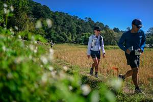 BIB: 
                            <button type="button" onclick="openModal(26581504)" class="btn btn-primary btn-sm float-right btn-popup" data-toggle="modal" data-target=".modal-high-quality">
                        <i class="fas fa-shopping-cart"></i> Add to Cart
                    </button>
                                            <button type="button" onclick="isThisMe(26581504, true)" class="btn btn-success btn-sm float-right btn-popup btn-isme hidden" data-toggle="tooltip" data-placement="bottom" title="นี่คือรูปของคุณใช่ไหม คลิกที่นี่เพื่อเอาเข้าอัลบั้ม">
                        <i class="fas fa-plus"></i> Add to album
                    </button>
                    <button type="button" onclick="isThisMe(26581504, false)" class="btn btn-warning btn-sm float-right btn-popup btn-isnotme hidden">
                        <i class="fas fa-ban"></i> Remove from album
                    </button>