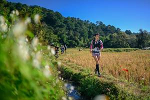 BIB: 
                            <button type="button" onclick="openModal(26571640)" class="btn btn-primary btn-sm float-right btn-popup" data-toggle="modal" data-target=".modal-high-quality">
                        <i class="fas fa-shopping-cart"></i> Add to Cart
                    </button>
                                            <button type="button" onclick="isThisMe(26571640, true)" class="btn btn-success btn-sm float-right btn-popup btn-isme hidden" data-toggle="tooltip" data-placement="bottom" title="นี่คือรูปของคุณใช่ไหม คลิกที่นี่เพื่อเอาเข้าอัลบั้ม">
                        <i class="fas fa-plus"></i> Add to album
                    </button>
                    <button type="button" onclick="isThisMe(26571640, false)" class="btn btn-warning btn-sm float-right btn-popup btn-isnotme hidden">
                        <i class="fas fa-ban"></i> Remove from album
                    </button>