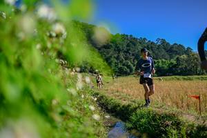 BIB: 
                            <button type="button" onclick="openModal(26580889)" class="btn btn-primary btn-sm float-right btn-popup" data-toggle="modal" data-target=".modal-high-quality">
                        <i class="fas fa-shopping-cart"></i> Add to Cart
                    </button>
                                            <button type="button" onclick="isThisMe(26580889, true)" class="btn btn-success btn-sm float-right btn-popup btn-isme hidden" data-toggle="tooltip" data-placement="bottom" title="นี่คือรูปของคุณใช่ไหม คลิกที่นี่เพื่อเอาเข้าอัลบั้ม">
                        <i class="fas fa-plus"></i> Add to album
                    </button>
                    <button type="button" onclick="isThisMe(26580889, false)" class="btn btn-warning btn-sm float-right btn-popup btn-isnotme hidden">
                        <i class="fas fa-ban"></i> Remove from album
                    </button>