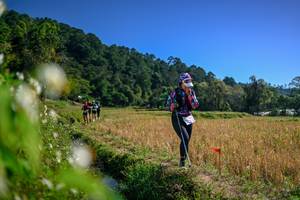 BIB: 
                            <button type="button" onclick="openModal(26579839)" class="btn btn-primary btn-sm float-right btn-popup" data-toggle="modal" data-target=".modal-high-quality">
                        <i class="fas fa-shopping-cart"></i> Add to Cart
                    </button>
                                            <button type="button" onclick="isThisMe(26579839, true)" class="btn btn-success btn-sm float-right btn-popup btn-isme hidden" data-toggle="tooltip" data-placement="bottom" title="นี่คือรูปของคุณใช่ไหม คลิกที่นี่เพื่อเอาเข้าอัลบั้ม">
                        <i class="fas fa-plus"></i> Add to album
                    </button>
                    <button type="button" onclick="isThisMe(26579839, false)" class="btn btn-warning btn-sm float-right btn-popup btn-isnotme hidden">
                        <i class="fas fa-ban"></i> Remove from album
                    </button>