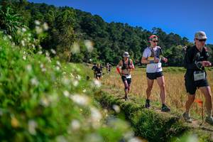 BIB: 
                            <button type="button" onclick="openModal(26582112)" class="btn btn-primary btn-sm float-right btn-popup" data-toggle="modal" data-target=".modal-high-quality">
                        <i class="fas fa-shopping-cart"></i> Add to Cart
                    </button>
                                            <button type="button" onclick="isThisMe(26582112, true)" class="btn btn-success btn-sm float-right btn-popup btn-isme hidden" data-toggle="tooltip" data-placement="bottom" title="นี่คือรูปของคุณใช่ไหม คลิกที่นี่เพื่อเอาเข้าอัลบั้ม">
                        <i class="fas fa-plus"></i> Add to album
                    </button>
                    <button type="button" onclick="isThisMe(26582112, false)" class="btn btn-warning btn-sm float-right btn-popup btn-isnotme hidden">
                        <i class="fas fa-ban"></i> Remove from album
                    </button>