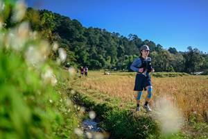 BIB: 
                            <button type="button" onclick="openModal(26571883)" class="btn btn-primary btn-sm float-right btn-popup" data-toggle="modal" data-target=".modal-high-quality">
                        <i class="fas fa-shopping-cart"></i> Add to Cart
                    </button>
                                            <button type="button" onclick="isThisMe(26571883, true)" class="btn btn-success btn-sm float-right btn-popup btn-isme hidden" data-toggle="tooltip" data-placement="bottom" title="นี่คือรูปของคุณใช่ไหม คลิกที่นี่เพื่อเอาเข้าอัลบั้ม">
                        <i class="fas fa-plus"></i> Add to album
                    </button>
                    <button type="button" onclick="isThisMe(26571883, false)" class="btn btn-warning btn-sm float-right btn-popup btn-isnotme hidden">
                        <i class="fas fa-ban"></i> Remove from album
                    </button>