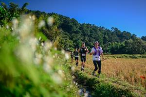 BIB: 
                            <button type="button" onclick="openModal(26571520)" class="btn btn-primary btn-sm float-right btn-popup" data-toggle="modal" data-target=".modal-high-quality">
                        <i class="fas fa-shopping-cart"></i> Add to Cart
                    </button>
                                            <button type="button" onclick="isThisMe(26571520, true)" class="btn btn-success btn-sm float-right btn-popup btn-isme hidden" data-toggle="tooltip" data-placement="bottom" title="นี่คือรูปของคุณใช่ไหม คลิกที่นี่เพื่อเอาเข้าอัลบั้ม">
                        <i class="fas fa-plus"></i> Add to album
                    </button>
                    <button type="button" onclick="isThisMe(26571520, false)" class="btn btn-warning btn-sm float-right btn-popup btn-isnotme hidden">
                        <i class="fas fa-ban"></i> Remove from album
                    </button>