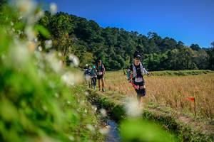 BIB: 
                            <button type="button" onclick="openModal(26574807)" class="btn btn-primary btn-sm float-right btn-popup" data-toggle="modal" data-target=".modal-high-quality">
                        <i class="fas fa-shopping-cart"></i> Add to Cart
                    </button>
                                            <button type="button" onclick="isThisMe(26574807, true)" class="btn btn-success btn-sm float-right btn-popup btn-isme hidden" data-toggle="tooltip" data-placement="bottom" title="นี่คือรูปของคุณใช่ไหม คลิกที่นี่เพื่อเอาเข้าอัลบั้ม">
                        <i class="fas fa-plus"></i> Add to album
                    </button>
                    <button type="button" onclick="isThisMe(26574807, false)" class="btn btn-warning btn-sm float-right btn-popup btn-isnotme hidden">
                        <i class="fas fa-ban"></i> Remove from album
                    </button>