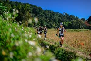 BIB: 
                            <button type="button" onclick="openModal(26582080)" class="btn btn-primary btn-sm float-right btn-popup" data-toggle="modal" data-target=".modal-high-quality">
                        <i class="fas fa-shopping-cart"></i> Add to Cart
                    </button>
                                            <button type="button" onclick="isThisMe(26582080, true)" class="btn btn-success btn-sm float-right btn-popup btn-isme hidden" data-toggle="tooltip" data-placement="bottom" title="นี่คือรูปของคุณใช่ไหม คลิกที่นี่เพื่อเอาเข้าอัลบั้ม">
                        <i class="fas fa-plus"></i> Add to album
                    </button>
                    <button type="button" onclick="isThisMe(26582080, false)" class="btn btn-warning btn-sm float-right btn-popup btn-isnotme hidden">
                        <i class="fas fa-ban"></i> Remove from album
                    </button>