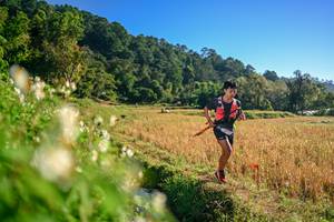 BIB: 
                            <button type="button" onclick="openModal(26570843)" class="btn btn-primary btn-sm float-right btn-popup" data-toggle="modal" data-target=".modal-high-quality">
                        <i class="fas fa-shopping-cart"></i> Add to Cart
                    </button>
                                            <button type="button" onclick="isThisMe(26570843, true)" class="btn btn-success btn-sm float-right btn-popup btn-isme hidden" data-toggle="tooltip" data-placement="bottom" title="นี่คือรูปของคุณใช่ไหม คลิกที่นี่เพื่อเอาเข้าอัลบั้ม">
                        <i class="fas fa-plus"></i> Add to album
                    </button>
                    <button type="button" onclick="isThisMe(26570843, false)" class="btn btn-warning btn-sm float-right btn-popup btn-isnotme hidden">
                        <i class="fas fa-ban"></i> Remove from album
                    </button>