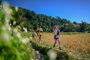 BIB: 
                            <button type="button" onclick="openModal(26575415)" class="btn btn-primary btn-sm float-right btn-popup" data-toggle="modal" data-target=".modal-high-quality">
                        <i class="fas fa-shopping-cart"></i> Add to Cart
                    </button>
                                            <button type="button" onclick="isThisMe(26575415, true)" class="btn btn-success btn-sm float-right btn-popup btn-isme hidden" data-toggle="tooltip" data-placement="bottom" title="นี่คือรูปของคุณใช่ไหม คลิกที่นี่เพื่อเอาเข้าอัลบั้ม">
                        <i class="fas fa-plus"></i> Add to album
                    </button>
                    <button type="button" onclick="isThisMe(26575415, false)" class="btn btn-warning btn-sm float-right btn-popup btn-isnotme hidden">
                        <i class="fas fa-ban"></i> Remove from album
                    </button>