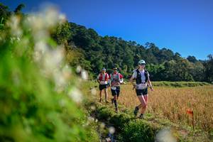 BIB: 
                            <button type="button" onclick="openModal(26572272)" class="btn btn-primary btn-sm float-right btn-popup" data-toggle="modal" data-target=".modal-high-quality">
                        <i class="fas fa-shopping-cart"></i> Add to Cart
                    </button>
                                            <button type="button" onclick="isThisMe(26572272, true)" class="btn btn-success btn-sm float-right btn-popup btn-isme hidden" data-toggle="tooltip" data-placement="bottom" title="นี่คือรูปของคุณใช่ไหม คลิกที่นี่เพื่อเอาเข้าอัลบั้ม">
                        <i class="fas fa-plus"></i> Add to album
                    </button>
                    <button type="button" onclick="isThisMe(26572272, false)" class="btn btn-warning btn-sm float-right btn-popup btn-isnotme hidden">
                        <i class="fas fa-ban"></i> Remove from album
                    </button>