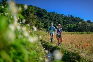 BIB: 
                            <button type="button" onclick="openModal(26575262)" class="btn btn-primary btn-sm float-right btn-popup" data-toggle="modal" data-target=".modal-high-quality">
                        <i class="fas fa-shopping-cart"></i> Add to Cart
                    </button>
                                            <button type="button" onclick="isThisMe(26575262, true)" class="btn btn-success btn-sm float-right btn-popup btn-isme hidden" data-toggle="tooltip" data-placement="bottom" title="นี่คือรูปของคุณใช่ไหม คลิกที่นี่เพื่อเอาเข้าอัลบั้ม">
                        <i class="fas fa-plus"></i> Add to album
                    </button>
                    <button type="button" onclick="isThisMe(26575262, false)" class="btn btn-warning btn-sm float-right btn-popup btn-isnotme hidden">
                        <i class="fas fa-ban"></i> Remove from album
                    </button>