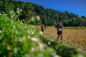 BIB: 
                            <button type="button" onclick="openModal(26582256)" class="btn btn-primary btn-sm float-right btn-popup" data-toggle="modal" data-target=".modal-high-quality">
                        <i class="fas fa-shopping-cart"></i> Add to Cart
                    </button>
                                            <button type="button" onclick="isThisMe(26582256, true)" class="btn btn-success btn-sm float-right btn-popup btn-isme hidden" data-toggle="tooltip" data-placement="bottom" title="นี่คือรูปของคุณใช่ไหม คลิกที่นี่เพื่อเอาเข้าอัลบั้ม">
                        <i class="fas fa-plus"></i> Add to album
                    </button>
                    <button type="button" onclick="isThisMe(26582256, false)" class="btn btn-warning btn-sm float-right btn-popup btn-isnotme hidden">
                        <i class="fas fa-ban"></i> Remove from album
                    </button>