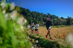 BIB: 
                            <button type="button" onclick="openModal(26572062)" class="btn btn-primary btn-sm float-right btn-popup" data-toggle="modal" data-target=".modal-high-quality">
                        <i class="fas fa-shopping-cart"></i> Add to Cart
                    </button>
                                            <button type="button" onclick="isThisMe(26572062, true)" class="btn btn-success btn-sm float-right btn-popup btn-isme hidden" data-toggle="tooltip" data-placement="bottom" title="นี่คือรูปของคุณใช่ไหม คลิกที่นี่เพื่อเอาเข้าอัลบั้ม">
                        <i class="fas fa-plus"></i> Add to album
                    </button>
                    <button type="button" onclick="isThisMe(26572062, false)" class="btn btn-warning btn-sm float-right btn-popup btn-isnotme hidden">
                        <i class="fas fa-ban"></i> Remove from album
                    </button>