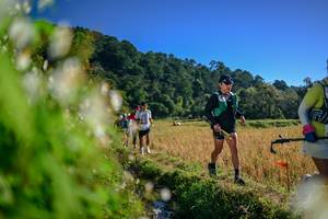 BIB: 
                            <button type="button" onclick="openModal(26572082)" class="btn btn-primary btn-sm float-right btn-popup" data-toggle="modal" data-target=".modal-high-quality">
                        <i class="fas fa-shopping-cart"></i> Add to Cart
                    </button>
                                            <button type="button" onclick="isThisMe(26572082, true)" class="btn btn-success btn-sm float-right btn-popup btn-isme hidden" data-toggle="tooltip" data-placement="bottom" title="นี่คือรูปของคุณใช่ไหม คลิกที่นี่เพื่อเอาเข้าอัลบั้ม">
                        <i class="fas fa-plus"></i> Add to album
                    </button>
                    <button type="button" onclick="isThisMe(26572082, false)" class="btn btn-warning btn-sm float-right btn-popup btn-isnotme hidden">
                        <i class="fas fa-ban"></i> Remove from album
                    </button>