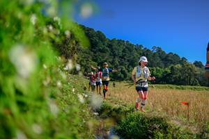 BIB: 
                            <button type="button" onclick="openModal(26580418)" class="btn btn-primary btn-sm float-right btn-popup" data-toggle="modal" data-target=".modal-high-quality">
                        <i class="fas fa-shopping-cart"></i> Add to Cart
                    </button>
                                            <button type="button" onclick="isThisMe(26580418, true)" class="btn btn-success btn-sm float-right btn-popup btn-isme hidden" data-toggle="tooltip" data-placement="bottom" title="นี่คือรูปของคุณใช่ไหม คลิกที่นี่เพื่อเอาเข้าอัลบั้ม">
                        <i class="fas fa-plus"></i> Add to album
                    </button>
                    <button type="button" onclick="isThisMe(26580418, false)" class="btn btn-warning btn-sm float-right btn-popup btn-isnotme hidden">
                        <i class="fas fa-ban"></i> Remove from album
                    </button>