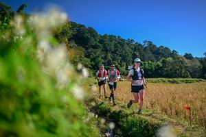 BIB: 
                            <button type="button" onclick="openModal(26572267)" class="btn btn-primary btn-sm float-right btn-popup" data-toggle="modal" data-target=".modal-high-quality">
                        <i class="fas fa-shopping-cart"></i> Add to Cart
                    </button>
                                            <button type="button" onclick="isThisMe(26572267, true)" class="btn btn-success btn-sm float-right btn-popup btn-isme hidden" data-toggle="tooltip" data-placement="bottom" title="นี่คือรูปของคุณใช่ไหม คลิกที่นี่เพื่อเอาเข้าอัลบั้ม">
                        <i class="fas fa-plus"></i> Add to album
                    </button>
                    <button type="button" onclick="isThisMe(26572267, false)" class="btn btn-warning btn-sm float-right btn-popup btn-isnotme hidden">
                        <i class="fas fa-ban"></i> Remove from album
                    </button>