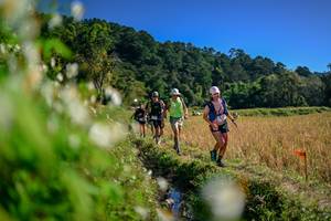 BIB: 
                            <button type="button" onclick="openModal(26574017)" class="btn btn-primary btn-sm float-right btn-popup" data-toggle="modal" data-target=".modal-high-quality">
                        <i class="fas fa-shopping-cart"></i> Add to Cart
                    </button>
                                            <button type="button" onclick="isThisMe(26574017, true)" class="btn btn-success btn-sm float-right btn-popup btn-isme hidden" data-toggle="tooltip" data-placement="bottom" title="นี่คือรูปของคุณใช่ไหม คลิกที่นี่เพื่อเอาเข้าอัลบั้ม">
                        <i class="fas fa-plus"></i> Add to album
                    </button>
                    <button type="button" onclick="isThisMe(26574017, false)" class="btn btn-warning btn-sm float-right btn-popup btn-isnotme hidden">
                        <i class="fas fa-ban"></i> Remove from album
                    </button>