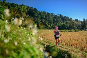 BIB: 
                            <button type="button" onclick="openModal(26571194)" class="btn btn-primary btn-sm float-right btn-popup" data-toggle="modal" data-target=".modal-high-quality">
                        <i class="fas fa-shopping-cart"></i> Add to Cart
                    </button>
                                            <button type="button" onclick="isThisMe(26571194, true)" class="btn btn-success btn-sm float-right btn-popup btn-isme hidden" data-toggle="tooltip" data-placement="bottom" title="นี่คือรูปของคุณใช่ไหม คลิกที่นี่เพื่อเอาเข้าอัลบั้ม">
                        <i class="fas fa-plus"></i> Add to album
                    </button>
                    <button type="button" onclick="isThisMe(26571194, false)" class="btn btn-warning btn-sm float-right btn-popup btn-isnotme hidden">
                        <i class="fas fa-ban"></i> Remove from album
                    </button>