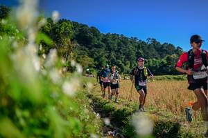 BIB: 
                            <button type="button" onclick="openModal(26572670)" class="btn btn-primary btn-sm float-right btn-popup" data-toggle="modal" data-target=".modal-high-quality">
                        <i class="fas fa-shopping-cart"></i> Add to Cart
                    </button>
                                            <button type="button" onclick="isThisMe(26572670, true)" class="btn btn-success btn-sm float-right btn-popup btn-isme hidden" data-toggle="tooltip" data-placement="bottom" title="นี่คือรูปของคุณใช่ไหม คลิกที่นี่เพื่อเอาเข้าอัลบั้ม">
                        <i class="fas fa-plus"></i> Add to album
                    </button>
                    <button type="button" onclick="isThisMe(26572670, false)" class="btn btn-warning btn-sm float-right btn-popup btn-isnotme hidden">
                        <i class="fas fa-ban"></i> Remove from album
                    </button>