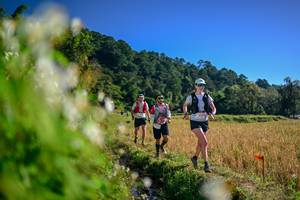 BIB: 
                            <button type="button" onclick="openModal(26572274)" class="btn btn-primary btn-sm float-right btn-popup" data-toggle="modal" data-target=".modal-high-quality">
                        <i class="fas fa-shopping-cart"></i> Add to Cart
                    </button>
                                            <button type="button" onclick="isThisMe(26572274, true)" class="btn btn-success btn-sm float-right btn-popup btn-isme hidden" data-toggle="tooltip" data-placement="bottom" title="นี่คือรูปของคุณใช่ไหม คลิกที่นี่เพื่อเอาเข้าอัลบั้ม">
                        <i class="fas fa-plus"></i> Add to album
                    </button>
                    <button type="button" onclick="isThisMe(26572274, false)" class="btn btn-warning btn-sm float-right btn-popup btn-isnotme hidden">
                        <i class="fas fa-ban"></i> Remove from album
                    </button>