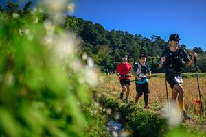 BIB: 
                            <button type="button" onclick="openModal(26572405)" class="btn btn-primary btn-sm float-right btn-popup" data-toggle="modal" data-target=".modal-high-quality">
                        <i class="fas fa-shopping-cart"></i> Add to Cart
                    </button>
                                            <button type="button" onclick="isThisMe(26572405, true)" class="btn btn-success btn-sm float-right btn-popup btn-isme hidden" data-toggle="tooltip" data-placement="bottom" title="นี่คือรูปของคุณใช่ไหม คลิกที่นี่เพื่อเอาเข้าอัลบั้ม">
                        <i class="fas fa-plus"></i> Add to album
                    </button>
                    <button type="button" onclick="isThisMe(26572405, false)" class="btn btn-warning btn-sm float-right btn-popup btn-isnotme hidden">
                        <i class="fas fa-ban"></i> Remove from album
                    </button>