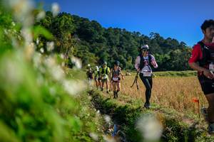 BIB: 
                            <button type="button" onclick="openModal(26573983)" class="btn btn-primary btn-sm float-right btn-popup" data-toggle="modal" data-target=".modal-high-quality">
                        <i class="fas fa-shopping-cart"></i> Add to Cart
                    </button>
                                            <button type="button" onclick="isThisMe(26573983, true)" class="btn btn-success btn-sm float-right btn-popup btn-isme hidden" data-toggle="tooltip" data-placement="bottom" title="นี่คือรูปของคุณใช่ไหม คลิกที่นี่เพื่อเอาเข้าอัลบั้ม">
                        <i class="fas fa-plus"></i> Add to album
                    </button>
                    <button type="button" onclick="isThisMe(26573983, false)" class="btn btn-warning btn-sm float-right btn-popup btn-isnotme hidden">
                        <i class="fas fa-ban"></i> Remove from album
                    </button>