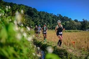 BIB: 
                            <button type="button" onclick="openModal(26575536)" class="btn btn-primary btn-sm float-right btn-popup" data-toggle="modal" data-target=".modal-high-quality">
                        <i class="fas fa-shopping-cart"></i> Add to Cart
                    </button>
                                            <button type="button" onclick="isThisMe(26575536, true)" class="btn btn-success btn-sm float-right btn-popup btn-isme hidden" data-toggle="tooltip" data-placement="bottom" title="นี่คือรูปของคุณใช่ไหม คลิกที่นี่เพื่อเอาเข้าอัลบั้ม">
                        <i class="fas fa-plus"></i> Add to album
                    </button>
                    <button type="button" onclick="isThisMe(26575536, false)" class="btn btn-warning btn-sm float-right btn-popup btn-isnotme hidden">
                        <i class="fas fa-ban"></i> Remove from album
                    </button>