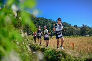 BIB: 
                            <button type="button" onclick="openModal(26580978)" class="btn btn-primary btn-sm float-right btn-popup" data-toggle="modal" data-target=".modal-high-quality">
                        <i class="fas fa-shopping-cart"></i> Add to Cart
                    </button>
                                            <button type="button" onclick="isThisMe(26580978, true)" class="btn btn-success btn-sm float-right btn-popup btn-isme hidden" data-toggle="tooltip" data-placement="bottom" title="นี่คือรูปของคุณใช่ไหม คลิกที่นี่เพื่อเอาเข้าอัลบั้ม">
                        <i class="fas fa-plus"></i> Add to album
                    </button>
                    <button type="button" onclick="isThisMe(26580978, false)" class="btn btn-warning btn-sm float-right btn-popup btn-isnotme hidden">
                        <i class="fas fa-ban"></i> Remove from album
                    </button>