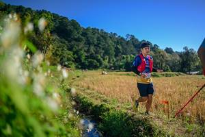 BIB: 
                            <button type="button" onclick="openModal(26571505)" class="btn btn-primary btn-sm float-right btn-popup" data-toggle="modal" data-target=".modal-high-quality">
                        <i class="fas fa-shopping-cart"></i> Add to Cart
                    </button>
                                            <button type="button" onclick="isThisMe(26571505, true)" class="btn btn-success btn-sm float-right btn-popup btn-isme hidden" data-toggle="tooltip" data-placement="bottom" title="นี่คือรูปของคุณใช่ไหม คลิกที่นี่เพื่อเอาเข้าอัลบั้ม">
                        <i class="fas fa-plus"></i> Add to album
                    </button>
                    <button type="button" onclick="isThisMe(26571505, false)" class="btn btn-warning btn-sm float-right btn-popup btn-isnotme hidden">
                        <i class="fas fa-ban"></i> Remove from album
                    </button>