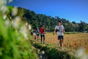 BIB: 
                            <button type="button" onclick="openModal(26572096)" class="btn btn-primary btn-sm float-right btn-popup" data-toggle="modal" data-target=".modal-high-quality">
                        <i class="fas fa-shopping-cart"></i> Add to Cart
                    </button>
                                            <button type="button" onclick="isThisMe(26572096, true)" class="btn btn-success btn-sm float-right btn-popup btn-isme hidden" data-toggle="tooltip" data-placement="bottom" title="นี่คือรูปของคุณใช่ไหม คลิกที่นี่เพื่อเอาเข้าอัลบั้ม">
                        <i class="fas fa-plus"></i> Add to album
                    </button>
                    <button type="button" onclick="isThisMe(26572096, false)" class="btn btn-warning btn-sm float-right btn-popup btn-isnotme hidden">
                        <i class="fas fa-ban"></i> Remove from album
                    </button>