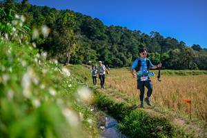 BIB: 
                            <button type="button" onclick="openModal(26580809)" class="btn btn-primary btn-sm float-right btn-popup" data-toggle="modal" data-target=".modal-high-quality">
                        <i class="fas fa-shopping-cart"></i> Add to Cart
                    </button>
                                            <button type="button" onclick="isThisMe(26580809, true)" class="btn btn-success btn-sm float-right btn-popup btn-isme hidden" data-toggle="tooltip" data-placement="bottom" title="นี่คือรูปของคุณใช่ไหม คลิกที่นี่เพื่อเอาเข้าอัลบั้ม">
                        <i class="fas fa-plus"></i> Add to album
                    </button>
                    <button type="button" onclick="isThisMe(26580809, false)" class="btn btn-warning btn-sm float-right btn-popup btn-isnotme hidden">
                        <i class="fas fa-ban"></i> Remove from album
                    </button>