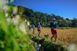 BIB: 
                            <button type="button" onclick="openModal(26572124)" class="btn btn-primary btn-sm float-right btn-popup" data-toggle="modal" data-target=".modal-high-quality">
                        <i class="fas fa-shopping-cart"></i> Add to Cart
                    </button>
                                            <button type="button" onclick="isThisMe(26572124, true)" class="btn btn-success btn-sm float-right btn-popup btn-isme hidden" data-toggle="tooltip" data-placement="bottom" title="นี่คือรูปของคุณใช่ไหม คลิกที่นี่เพื่อเอาเข้าอัลบั้ม">
                        <i class="fas fa-plus"></i> Add to album
                    </button>
                    <button type="button" onclick="isThisMe(26572124, false)" class="btn btn-warning btn-sm float-right btn-popup btn-isnotme hidden">
                        <i class="fas fa-ban"></i> Remove from album
                    </button>