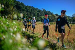 BIB: 
                            <button type="button" onclick="openModal(26576235)" class="btn btn-primary btn-sm float-right btn-popup" data-toggle="modal" data-target=".modal-high-quality">
                        <i class="fas fa-shopping-cart"></i> Add to Cart
                    </button>
                                            <button type="button" onclick="isThisMe(26576235, true)" class="btn btn-success btn-sm float-right btn-popup btn-isme hidden" data-toggle="tooltip" data-placement="bottom" title="นี่คือรูปของคุณใช่ไหม คลิกที่นี่เพื่อเอาเข้าอัลบั้ม">
                        <i class="fas fa-plus"></i> Add to album
                    </button>
                    <button type="button" onclick="isThisMe(26576235, false)" class="btn btn-warning btn-sm float-right btn-popup btn-isnotme hidden">
                        <i class="fas fa-ban"></i> Remove from album
                    </button>