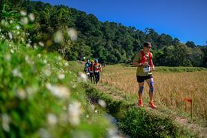 BIB: 
                            <button type="button" onclick="openModal(26583180)" class="btn btn-primary btn-sm float-right btn-popup" data-toggle="modal" data-target=".modal-high-quality">
                        <i class="fas fa-shopping-cart"></i> Add to Cart
                    </button>
                                            <button type="button" onclick="isThisMe(26583180, true)" class="btn btn-success btn-sm float-right btn-popup btn-isme hidden" data-toggle="tooltip" data-placement="bottom" title="นี่คือรูปของคุณใช่ไหม คลิกที่นี่เพื่อเอาเข้าอัลบั้ม">
                        <i class="fas fa-plus"></i> Add to album
                    </button>
                    <button type="button" onclick="isThisMe(26583180, false)" class="btn btn-warning btn-sm float-right btn-popup btn-isnotme hidden">
                        <i class="fas fa-ban"></i> Remove from album
                    </button>