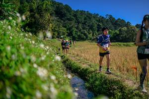 BIB: 
                            <button type="button" onclick="openModal(26581736)" class="btn btn-primary btn-sm float-right btn-popup" data-toggle="modal" data-target=".modal-high-quality">
                        <i class="fas fa-shopping-cart"></i> Add to Cart
                    </button>
                                            <button type="button" onclick="isThisMe(26581736, true)" class="btn btn-success btn-sm float-right btn-popup btn-isme hidden" data-toggle="tooltip" data-placement="bottom" title="นี่คือรูปของคุณใช่ไหม คลิกที่นี่เพื่อเอาเข้าอัลบั้ม">
                        <i class="fas fa-plus"></i> Add to album
                    </button>
                    <button type="button" onclick="isThisMe(26581736, false)" class="btn btn-warning btn-sm float-right btn-popup btn-isnotme hidden">
                        <i class="fas fa-ban"></i> Remove from album
                    </button>