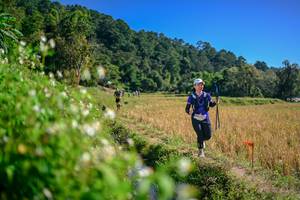 BIB: 
                            <button type="button" onclick="openModal(26581265)" class="btn btn-primary btn-sm float-right btn-popup" data-toggle="modal" data-target=".modal-high-quality">
                        <i class="fas fa-shopping-cart"></i> Add to Cart
                    </button>
                                            <button type="button" onclick="isThisMe(26581265, true)" class="btn btn-success btn-sm float-right btn-popup btn-isme hidden" data-toggle="tooltip" data-placement="bottom" title="นี่คือรูปของคุณใช่ไหม คลิกที่นี่เพื่อเอาเข้าอัลบั้ม">
                        <i class="fas fa-plus"></i> Add to album
                    </button>
                    <button type="button" onclick="isThisMe(26581265, false)" class="btn btn-warning btn-sm float-right btn-popup btn-isnotme hidden">
                        <i class="fas fa-ban"></i> Remove from album
                    </button>