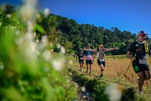 BIB: 
                            <button type="button" onclick="openModal(26572678)" class="btn btn-primary btn-sm float-right btn-popup" data-toggle="modal" data-target=".modal-high-quality">
                        <i class="fas fa-shopping-cart"></i> Add to Cart
                    </button>
                                            <button type="button" onclick="isThisMe(26572678, true)" class="btn btn-success btn-sm float-right btn-popup btn-isme hidden" data-toggle="tooltip" data-placement="bottom" title="นี่คือรูปของคุณใช่ไหม คลิกที่นี่เพื่อเอาเข้าอัลบั้ม">
                        <i class="fas fa-plus"></i> Add to album
                    </button>
                    <button type="button" onclick="isThisMe(26572678, false)" class="btn btn-warning btn-sm float-right btn-popup btn-isnotme hidden">
                        <i class="fas fa-ban"></i> Remove from album
                    </button>