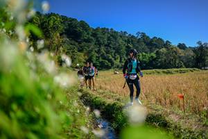 BIB: 
                            <button type="button" onclick="openModal(26574469)" class="btn btn-primary btn-sm float-right btn-popup" data-toggle="modal" data-target=".modal-high-quality">
                        <i class="fas fa-shopping-cart"></i> Add to Cart
                    </button>
                                            <button type="button" onclick="isThisMe(26574469, true)" class="btn btn-success btn-sm float-right btn-popup btn-isme hidden" data-toggle="tooltip" data-placement="bottom" title="นี่คือรูปของคุณใช่ไหม คลิกที่นี่เพื่อเอาเข้าอัลบั้ม">
                        <i class="fas fa-plus"></i> Add to album
                    </button>
                    <button type="button" onclick="isThisMe(26574469, false)" class="btn btn-warning btn-sm float-right btn-popup btn-isnotme hidden">
                        <i class="fas fa-ban"></i> Remove from album
                    </button>