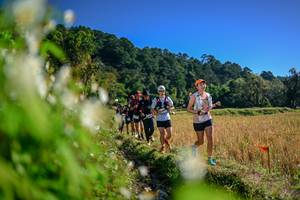 BIB: 
                            <button type="button" onclick="openModal(26572366)" class="btn btn-primary btn-sm float-right btn-popup" data-toggle="modal" data-target=".modal-high-quality">
                        <i class="fas fa-shopping-cart"></i> Add to Cart
                    </button>
                                            <button type="button" onclick="isThisMe(26572366, true)" class="btn btn-success btn-sm float-right btn-popup btn-isme hidden" data-toggle="tooltip" data-placement="bottom" title="นี่คือรูปของคุณใช่ไหม คลิกที่นี่เพื่อเอาเข้าอัลบั้ม">
                        <i class="fas fa-plus"></i> Add to album
                    </button>
                    <button type="button" onclick="isThisMe(26572366, false)" class="btn btn-warning btn-sm float-right btn-popup btn-isnotme hidden">
                        <i class="fas fa-ban"></i> Remove from album
                    </button>