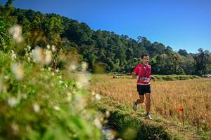 BIB: 
                            <button type="button" onclick="openModal(26571192)" class="btn btn-primary btn-sm float-right btn-popup" data-toggle="modal" data-target=".modal-high-quality">
                        <i class="fas fa-shopping-cart"></i> Add to Cart
                    </button>
                                            <button type="button" onclick="isThisMe(26571192, true)" class="btn btn-success btn-sm float-right btn-popup btn-isme hidden" data-toggle="tooltip" data-placement="bottom" title="นี่คือรูปของคุณใช่ไหม คลิกที่นี่เพื่อเอาเข้าอัลบั้ม">
                        <i class="fas fa-plus"></i> Add to album
                    </button>
                    <button type="button" onclick="isThisMe(26571192, false)" class="btn btn-warning btn-sm float-right btn-popup btn-isnotme hidden">
                        <i class="fas fa-ban"></i> Remove from album
                    </button>